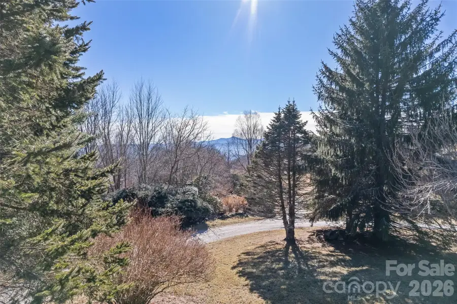 286 Pioneer Ridge Road, Canton, NC 28716 - #3