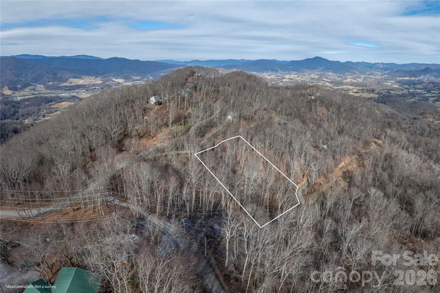 00 Utah Mountain Road #25, Waynesville, NC 28785 - #3