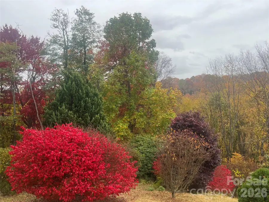 2778 Mule Stomp Road, Clyde, NC 28721 - Image #3