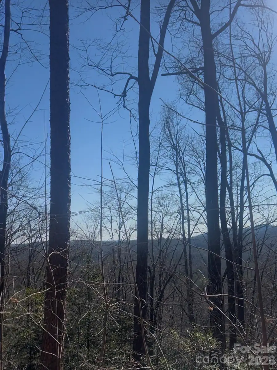 0 Dogwood Drive, Lake Lure, NC 28746 - Image #2