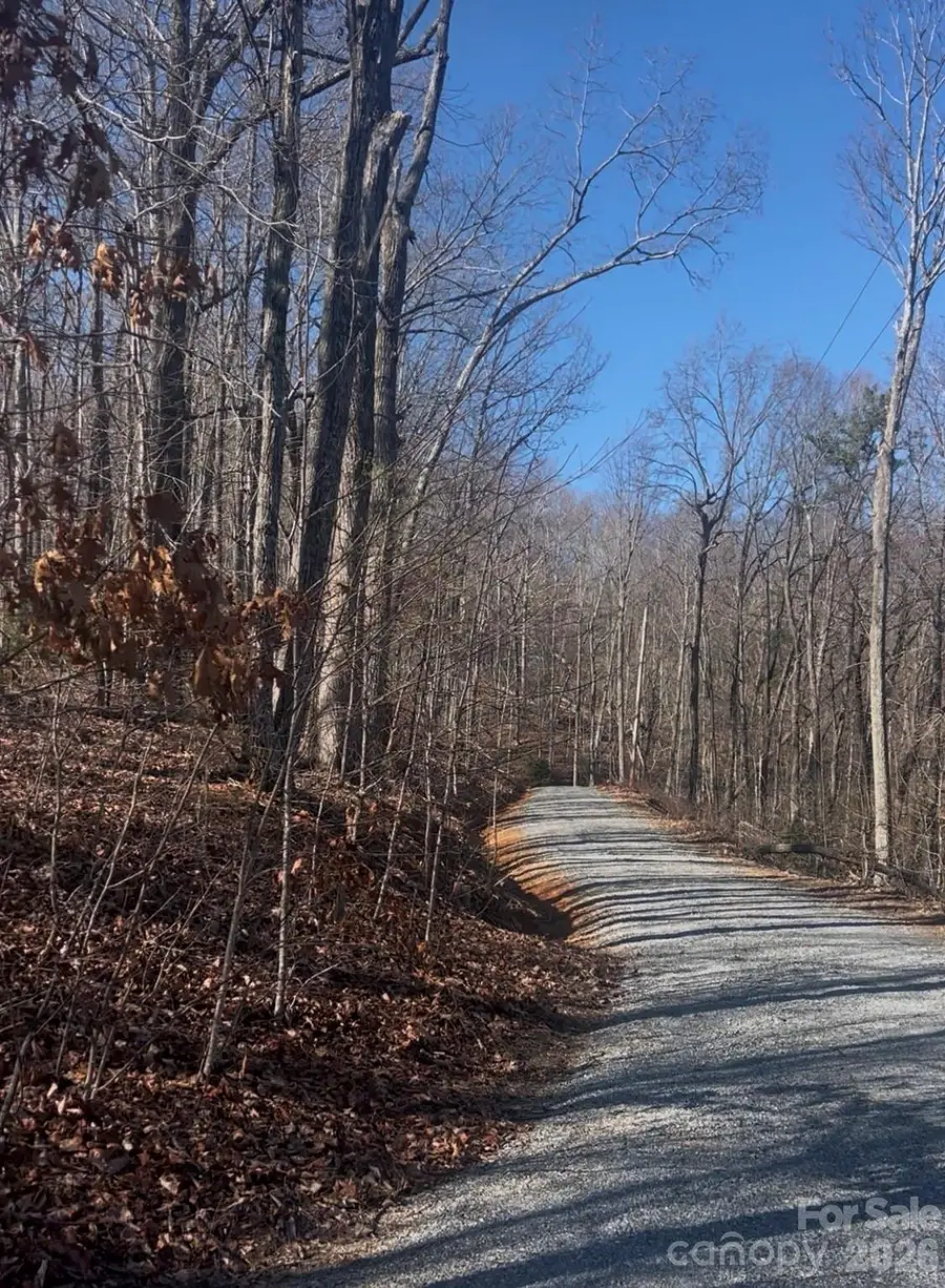 0 Dogwood Drive, Lake Lure, NC 28746 - Image #3