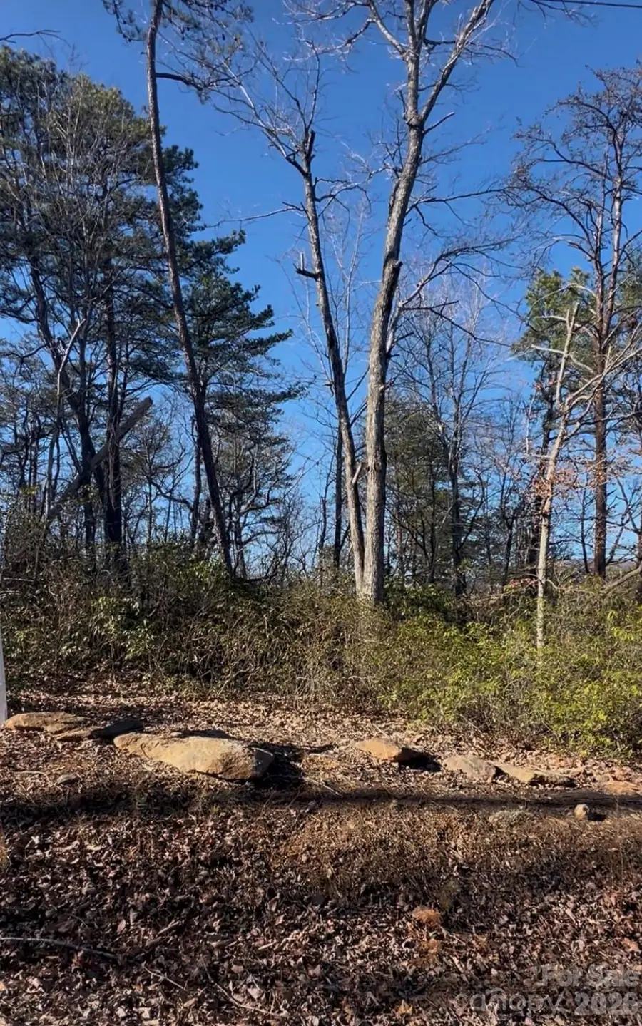 0 Ridgecrest Drive, Lake Lure, NC 28746 - #2