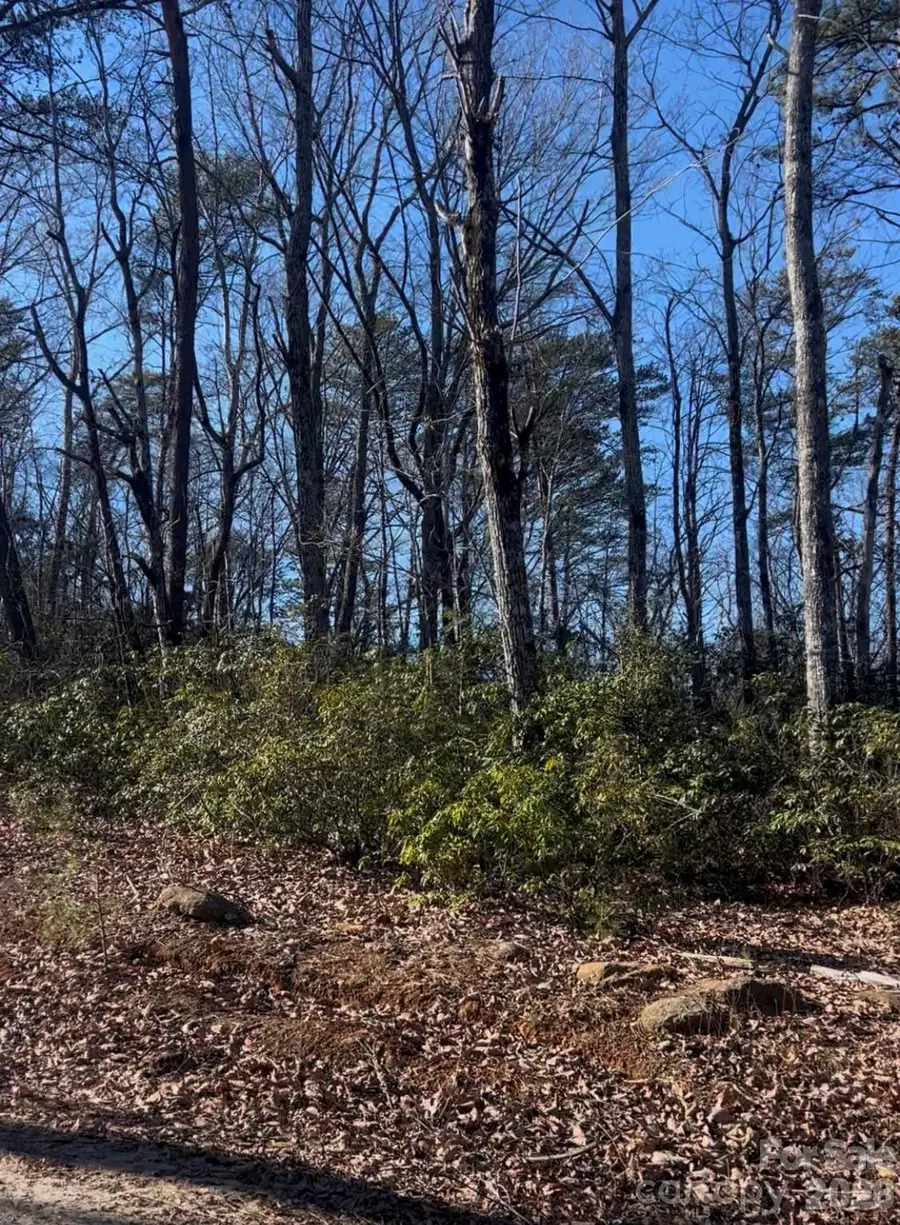 0 Ridgecrest Drive, Lake Lure, NC 28746 - #3