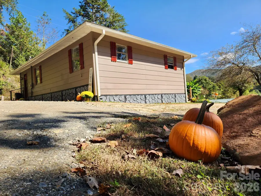 41 Gunches Dirt Road, Candler, NC 28715 - Image #2