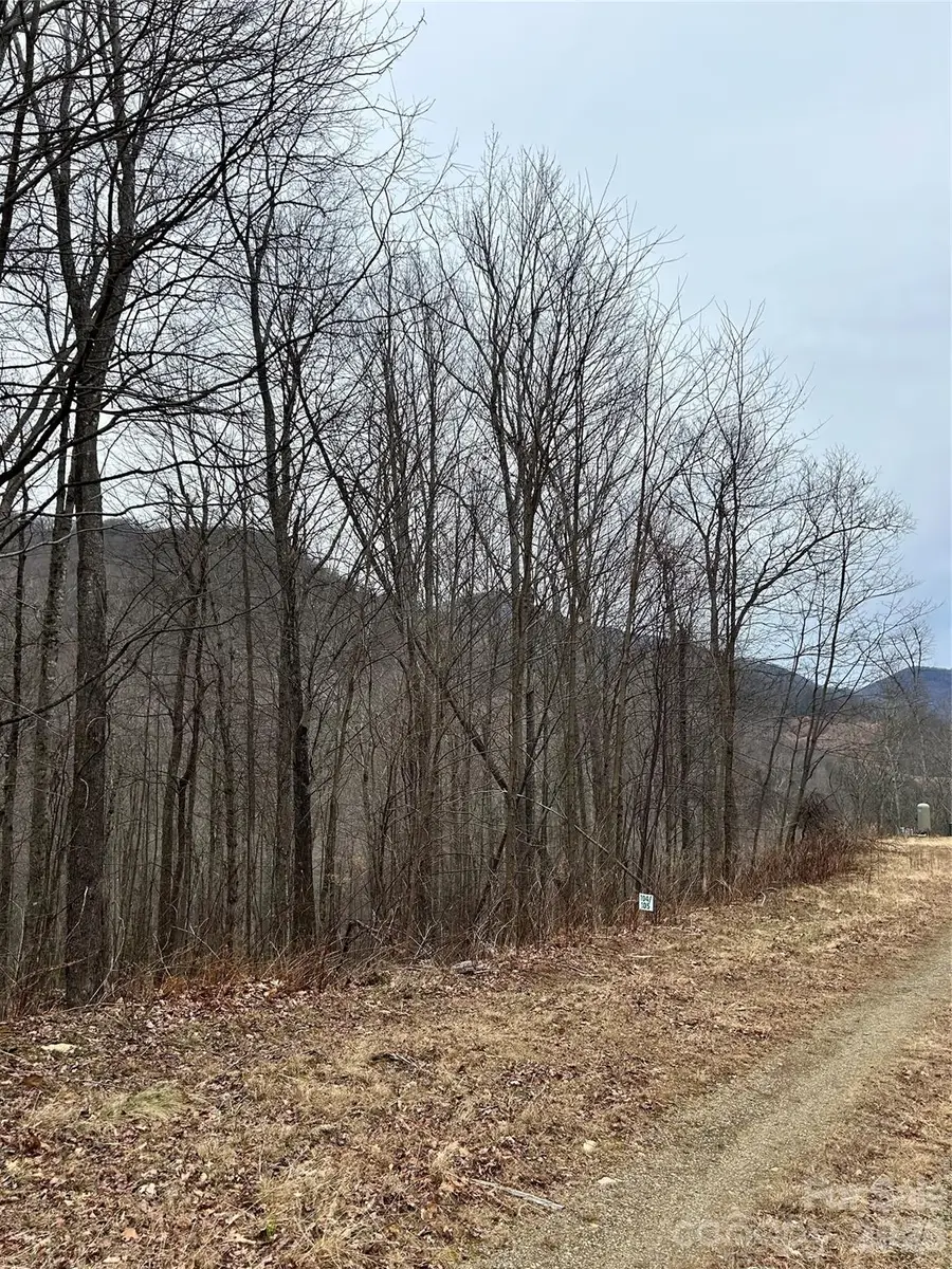 104 &105 Tenderfoot Trail, Maggie Valley, NC 28751 - Image #3