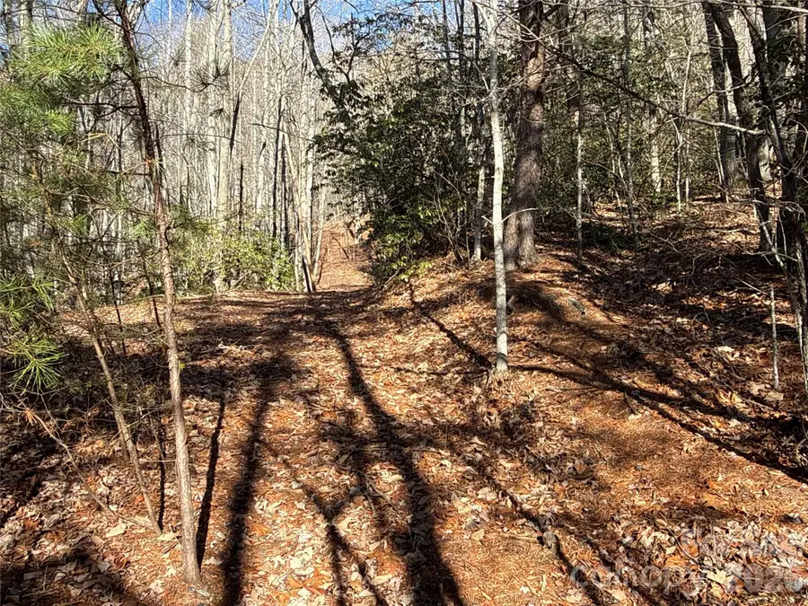 9999 Sealey Lane, Leicester, NC 28748 - Image #3