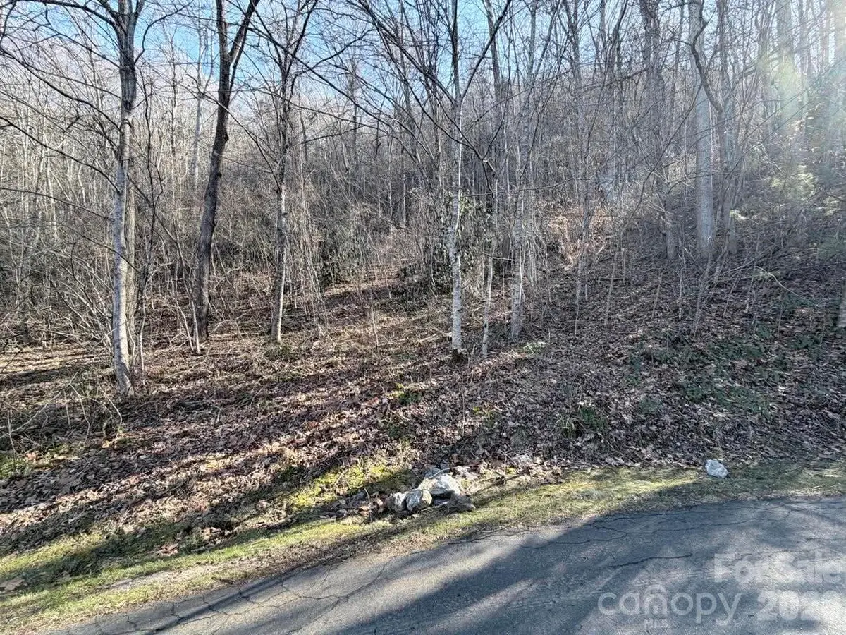 76 View Ridge Parkway #7, Leicester, NC 28748 - Image #1