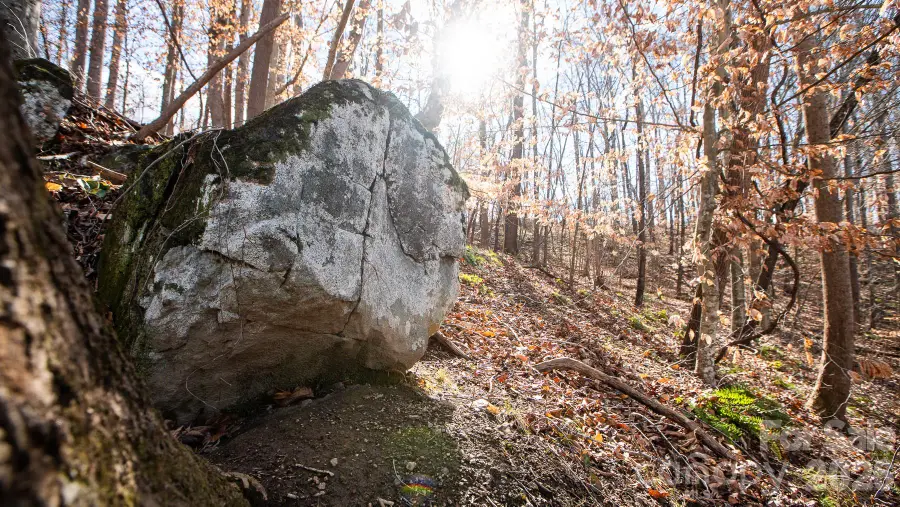 TBD Upright Road, Mount Ulla, NC 28125 - #3