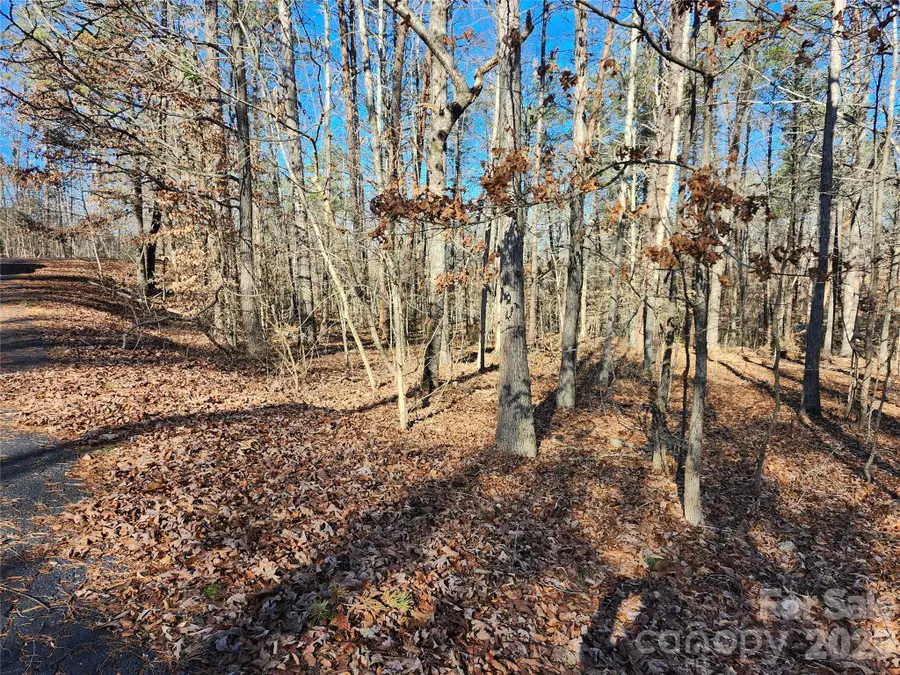 0000 Forest Ridge Road #22, Tryon, NC 28782 - Image #2