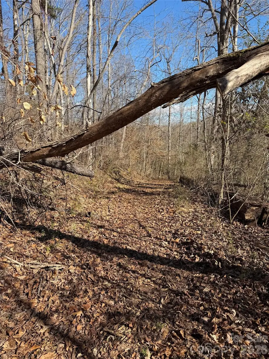 000 E Rambling Creek Road #11, Tryon, NC 28782 - Image #2