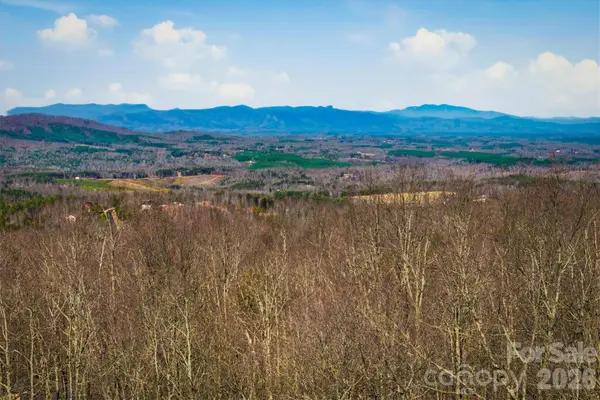 149 Mossy Oak Trail #166/167, Nebo, NC 28761