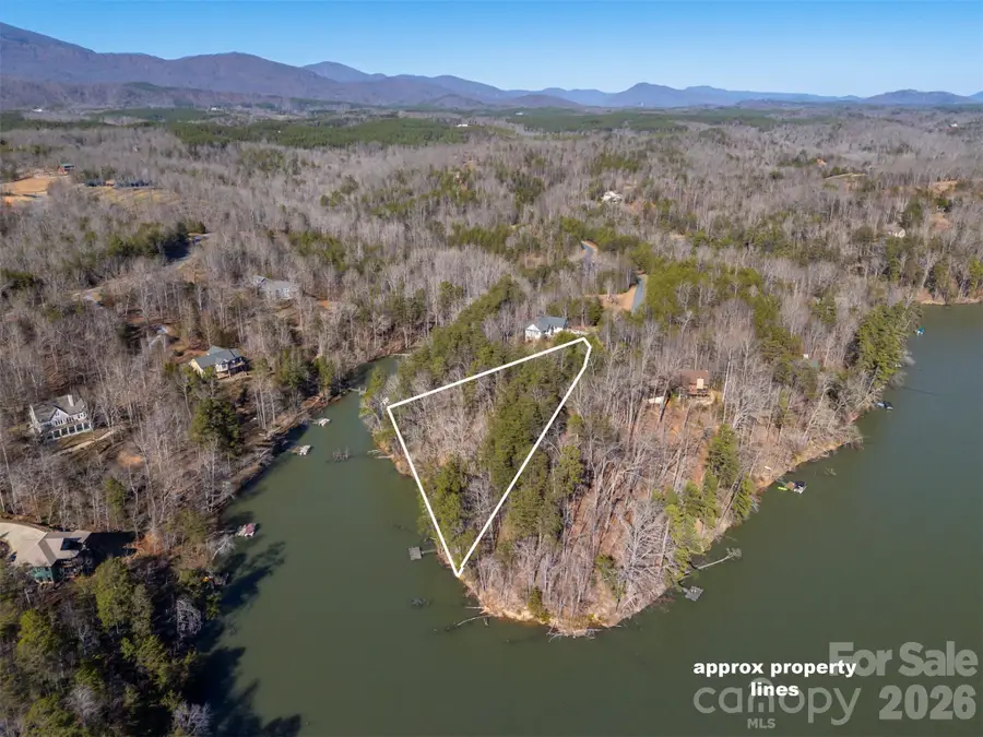 000 Indian Summer Lane #4, Mill Spring, NC 28756 - #2