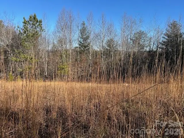 0 Hope Drive, Rutherfordton, NC 28139 - #2