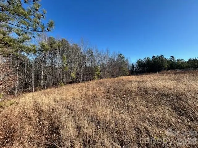 0 Hope Drive, Rutherfordton, NC 28139 - #3