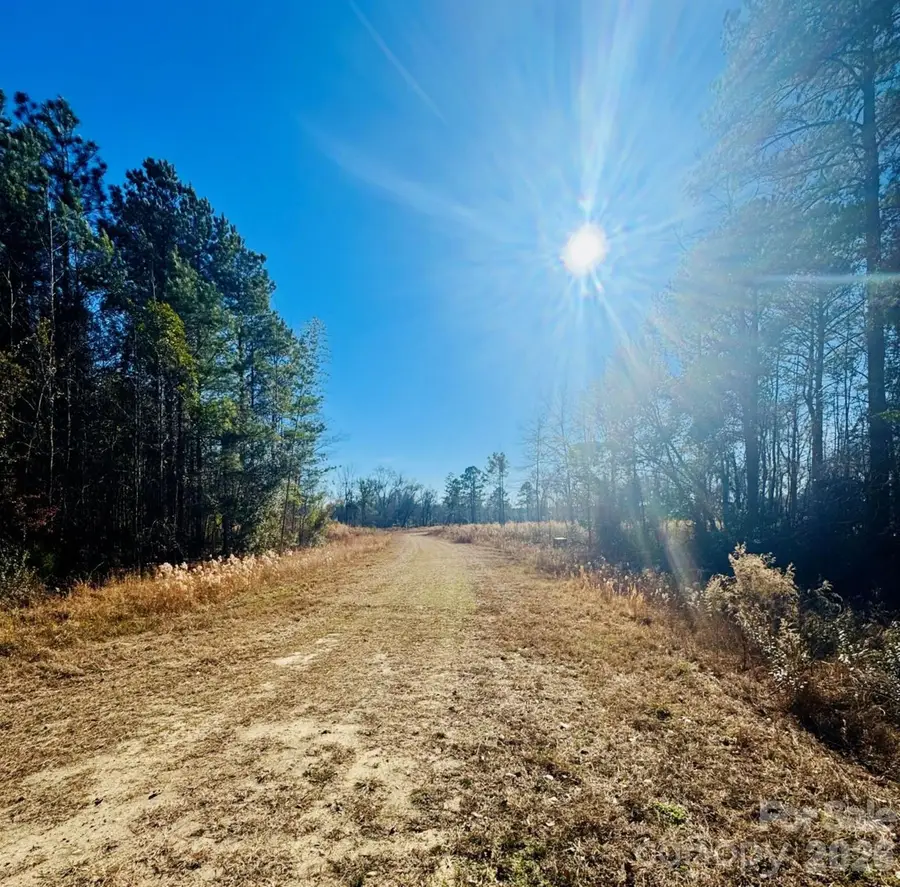 0000 Thistledown Road, Cheraw, SC 29520 - #2