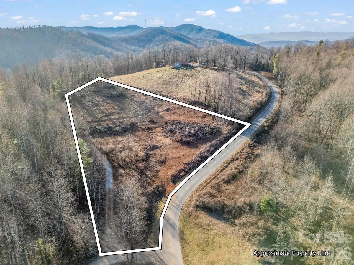 9999 Pinnacle Mountain Road, Zirconia, NC 28790 - #1