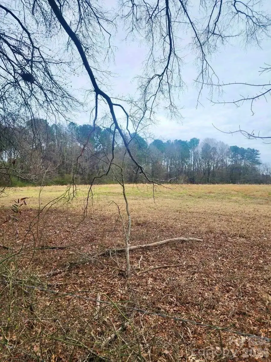 0 Spies Road, Star, NC 27356 - Image #2