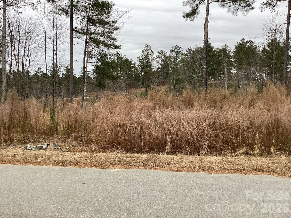 2146 Pikes Peak Ridge #154, Connelly Springs, NC 28612 - Image #1