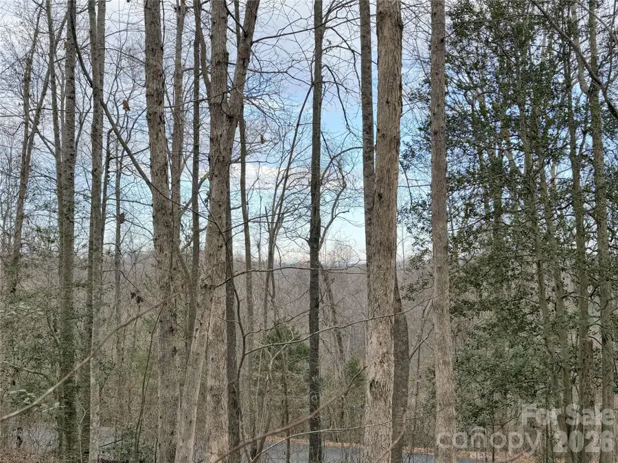 0000 E Rambling Creek Drive #26, Tryon, NC 28782 - Image #2