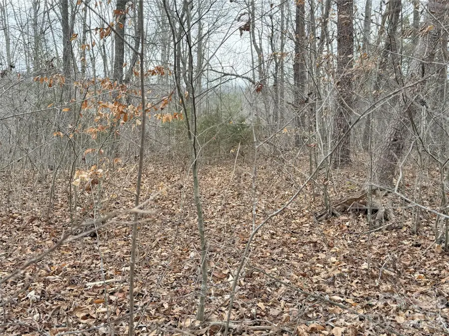 0000 E Rambling Creek Drive #26, Tryon, NC 28782 - Image #3