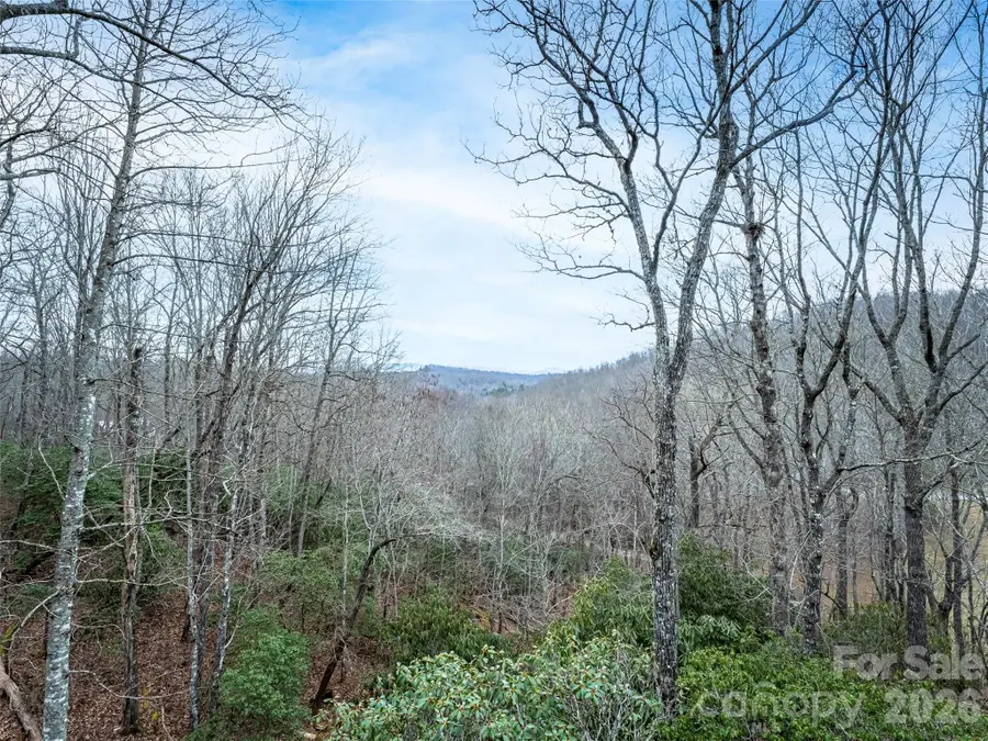 67 Ossarooga Court, Brevard, NC 28712 - Image #2