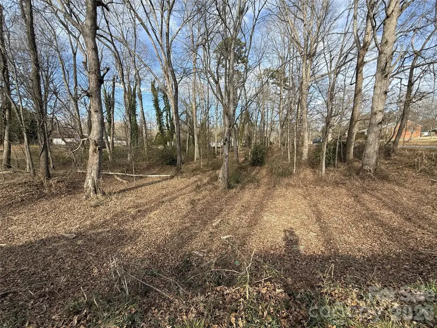 Lot 10&11 Buffalo Shoals Road #10, Statesville, NC 28677 - Image #3
