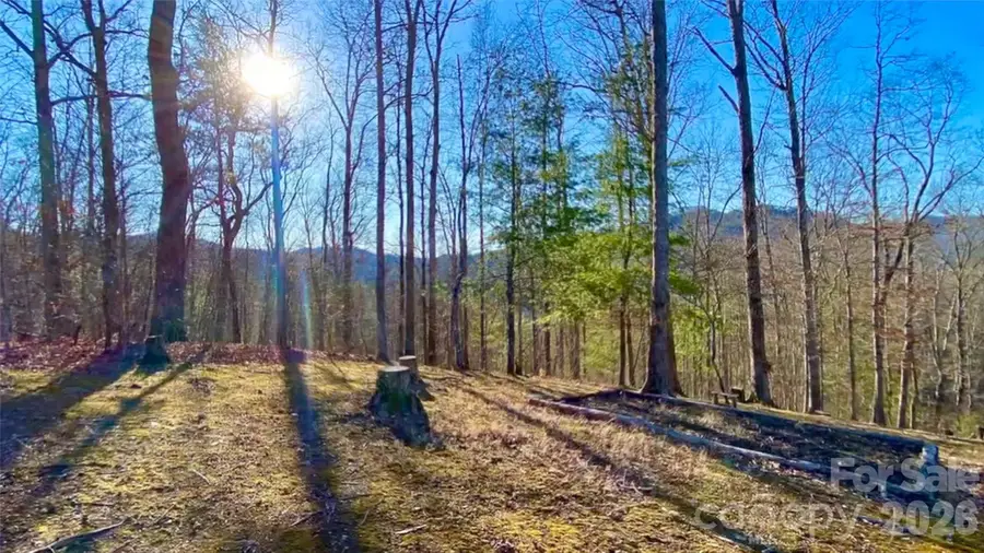 288 Rebel Drive, Hot Springs, NC 28743 - #3