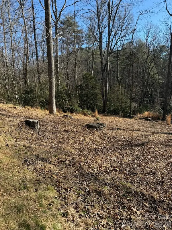 9999 Rockbrook Overlook, Brevard, NC 28712