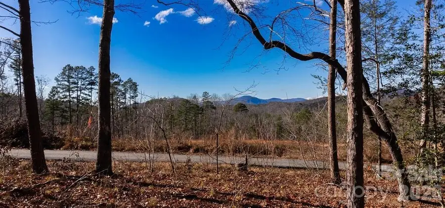 49 Shady Bark Lane, Rutherfordton, NC 28139 - Image #2