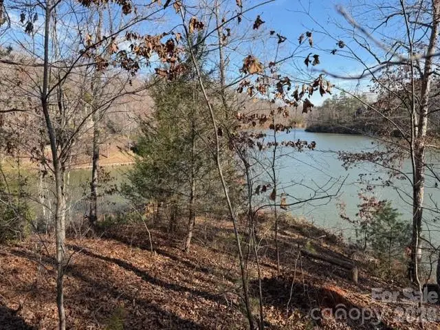 37 Peninsula Drive, Mill Spring, NC 28756 - #3