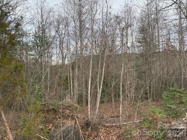 0 S Old Nc 18 Highway S, Connelly Springs, NC 28612 - Image #1