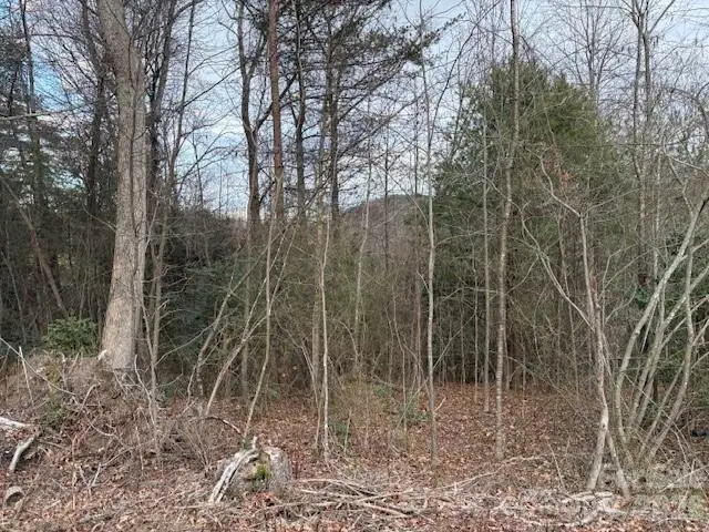 0 S Old Nc 18 Highway S, Connelly Springs, NC 28612 - Image #3