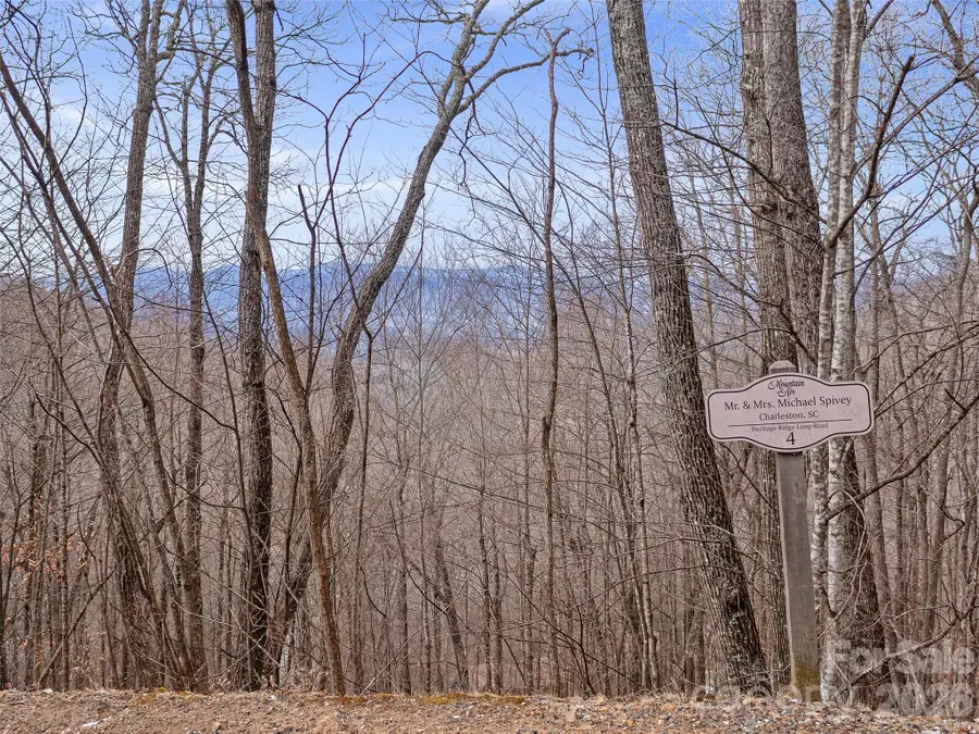 Lot 4 Heritage Ridge Loop, Burnsville, NC 28714 - Image #2