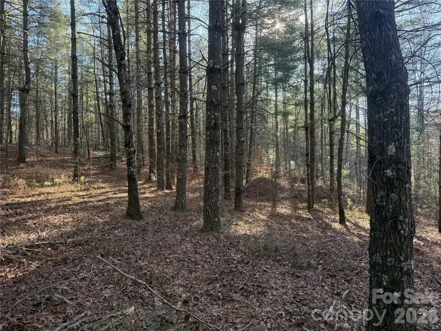 1291 Scenic Vista Drive #288, Nebo, NC 28761 - Image #2