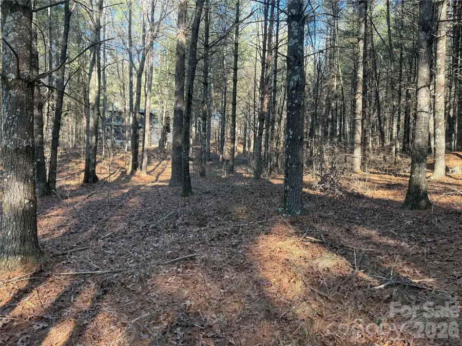 1291 Scenic Vista Drive #288, Nebo, NC 28761 - Image #3