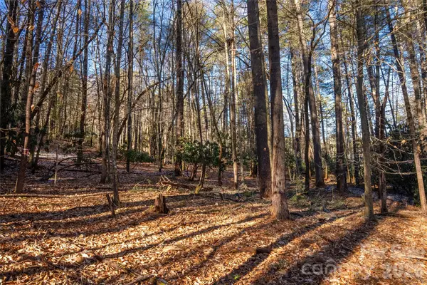 L11 Deerlake Road #11, Brevard, NC 28712