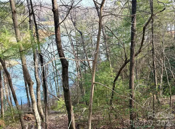 0 Falls View Trail #lot 23A, Lake Lure, NC 28746