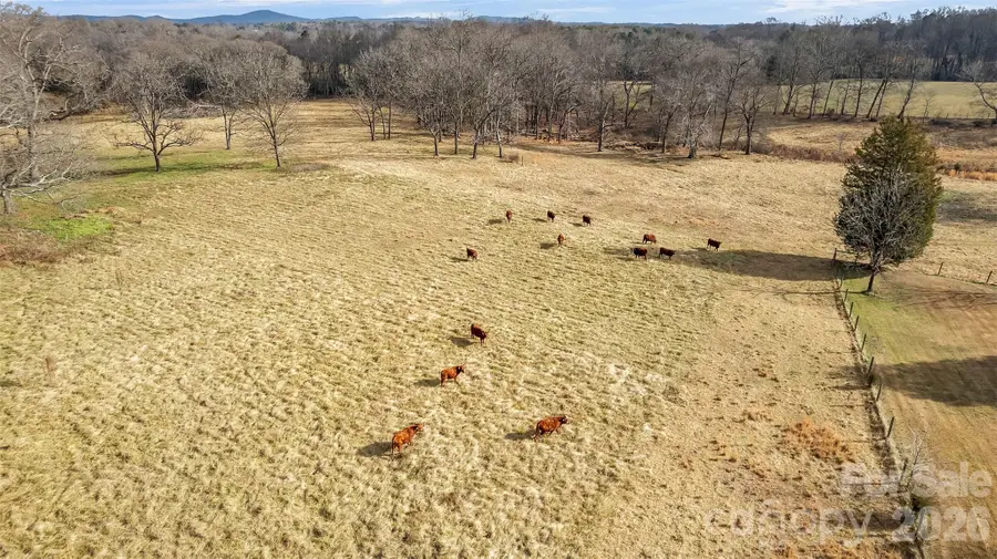 00 Davidson Court, Taylorsville, NC 28681 - Image #2