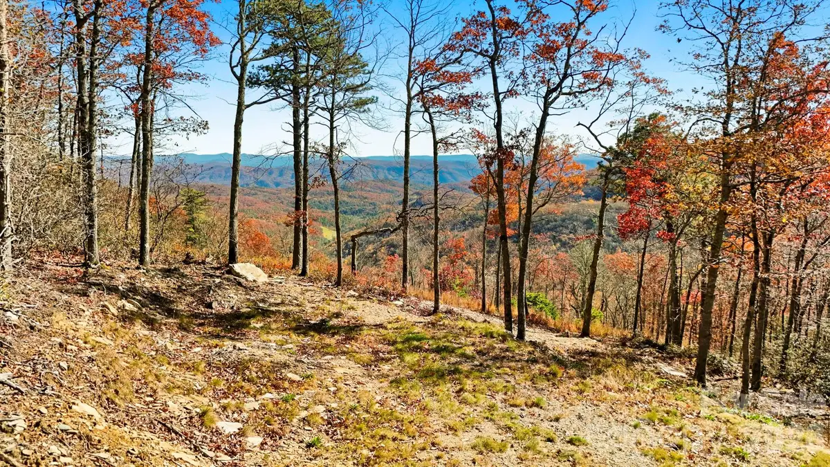 Lot 23 Bluebell Trail, Boone, NC 28607 - #1