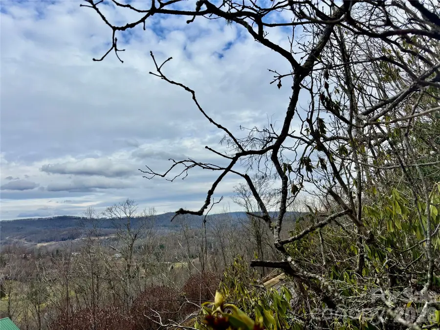 Lot 9 Balsam Drive #9, Newland, NC 28657 - #3