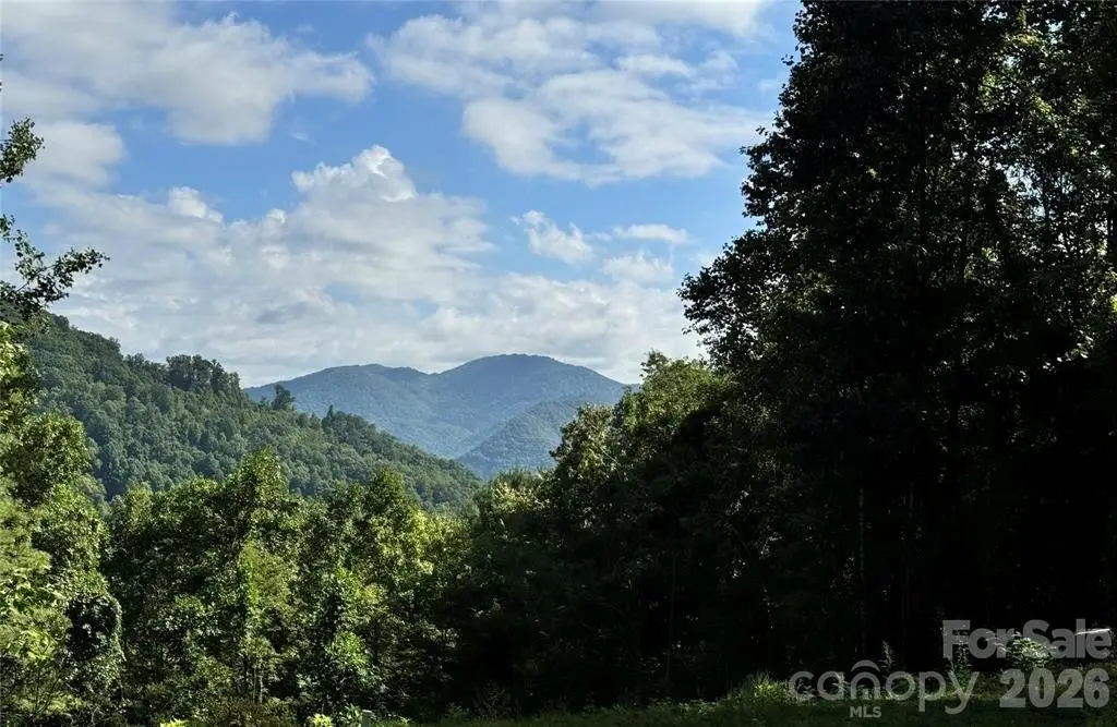 350 Scotts Trail, Hot Springs, NC 28743 - #1