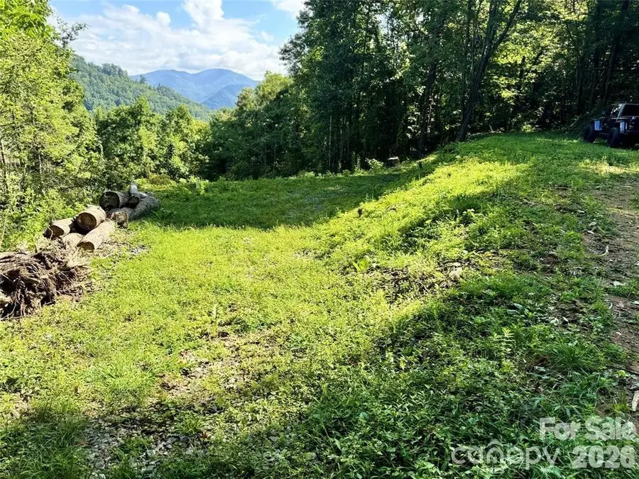 350 Scotts Trail, Hot Springs, NC 28743 - #2