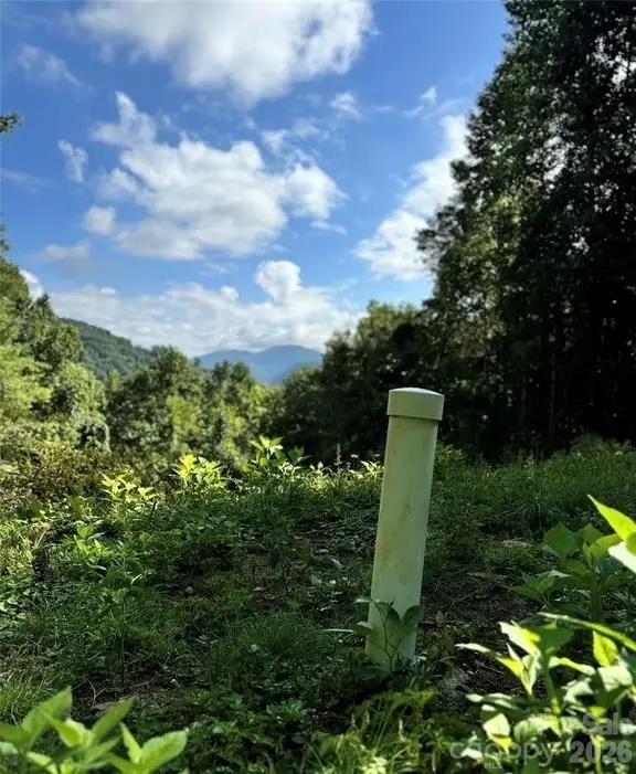 350 Scotts Trail, Hot Springs, NC 28743 - #3