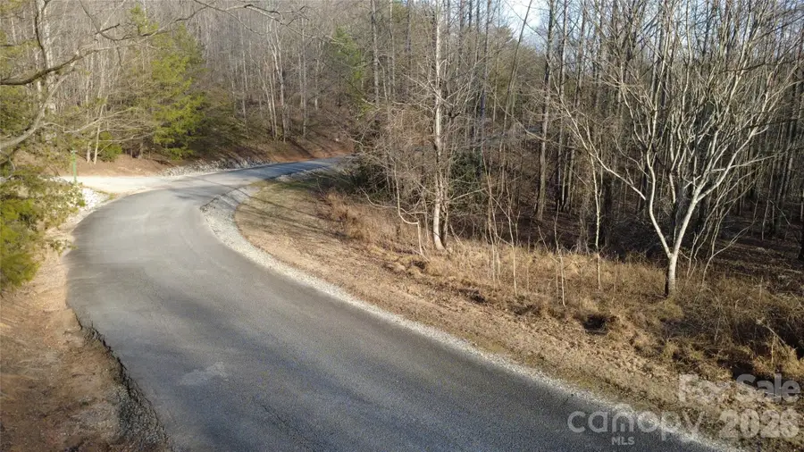 Lot 23 & 24 Double Eagle Drive #23 & 24, Nebo, NC 28761 - Image #2