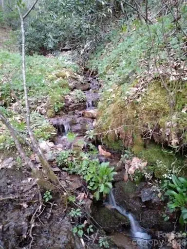 617 Barkers Creek Road, Whittier, NC 28789