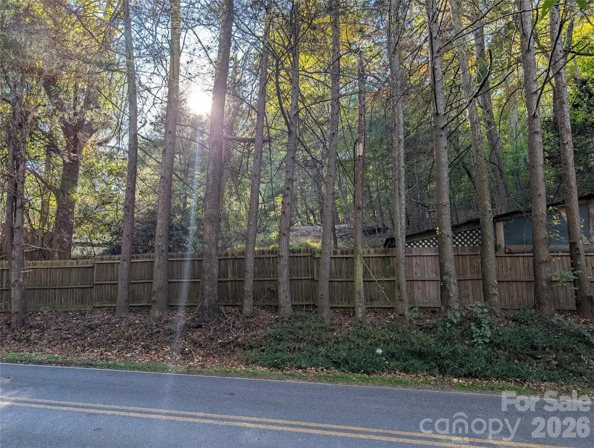 222 Reeves Cove Road, Candler, NC 28715 - Image #1