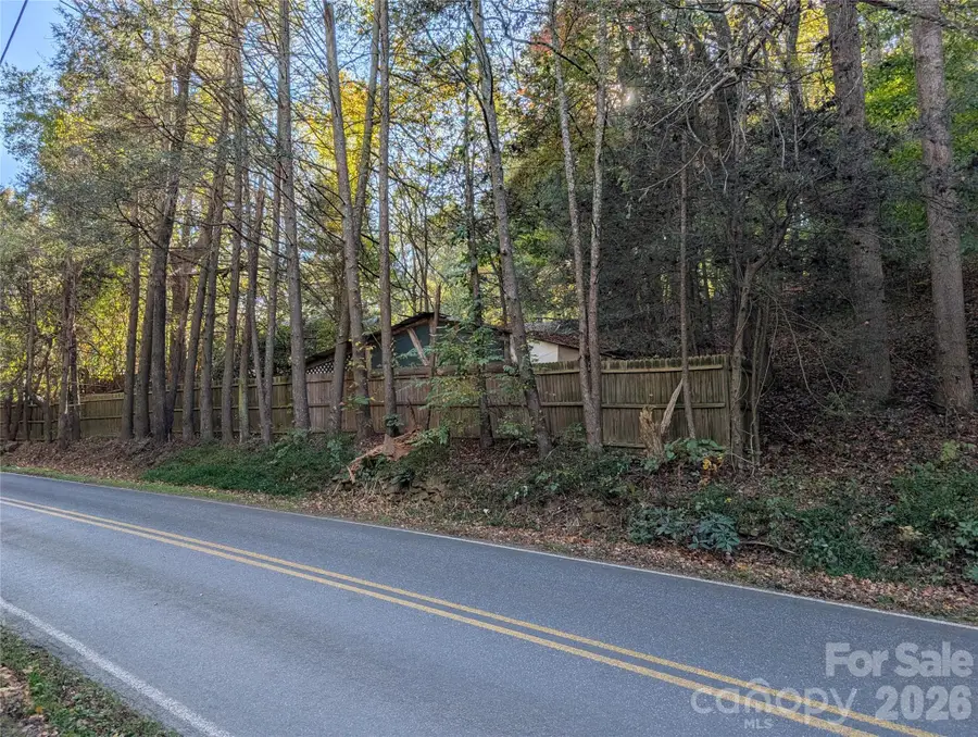 222 Reeves Cove Road, Candler, NC 28715 - Image #2