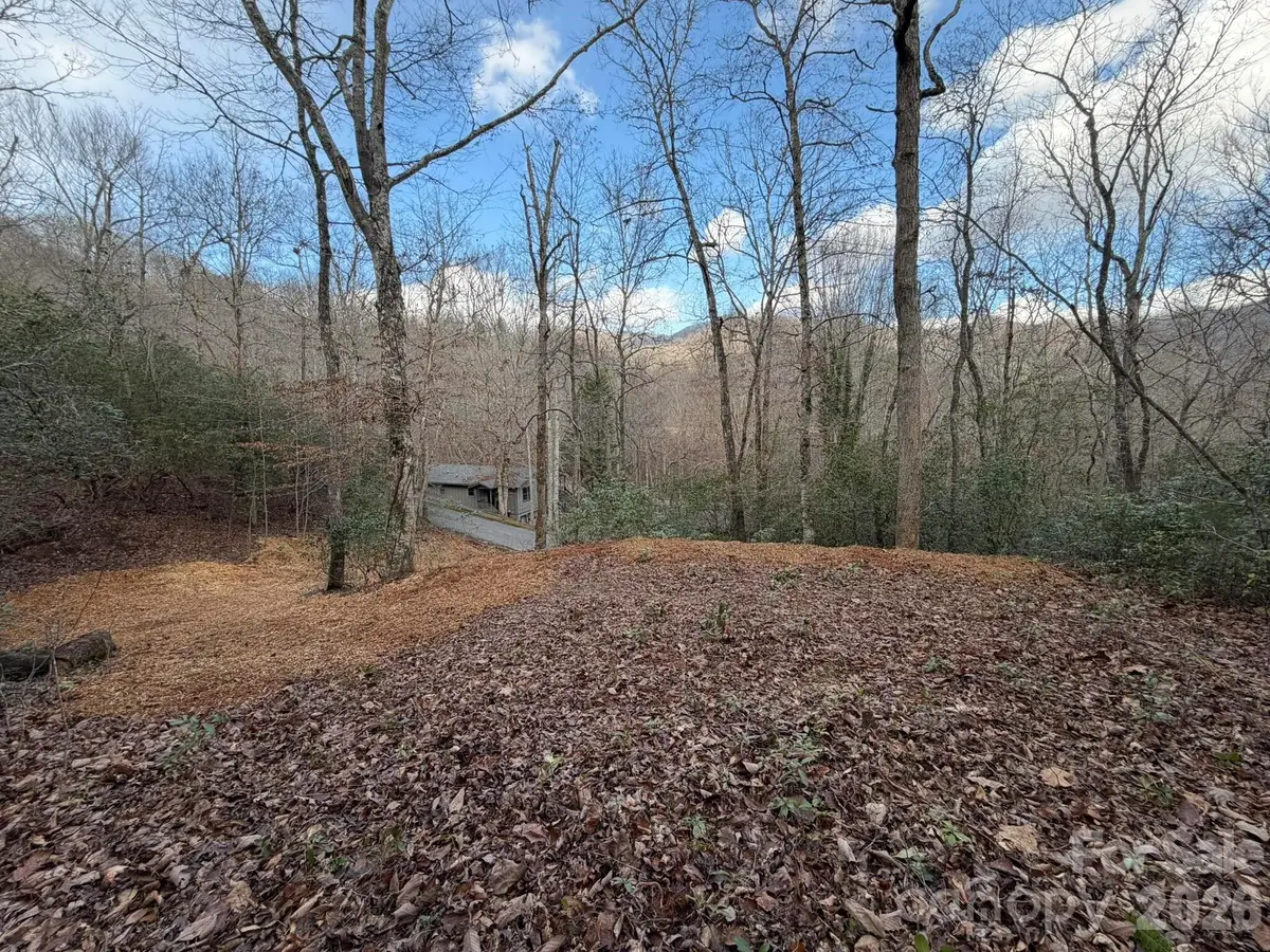 70 Knobby Lane, Franklin, NC 28734 - Image #1