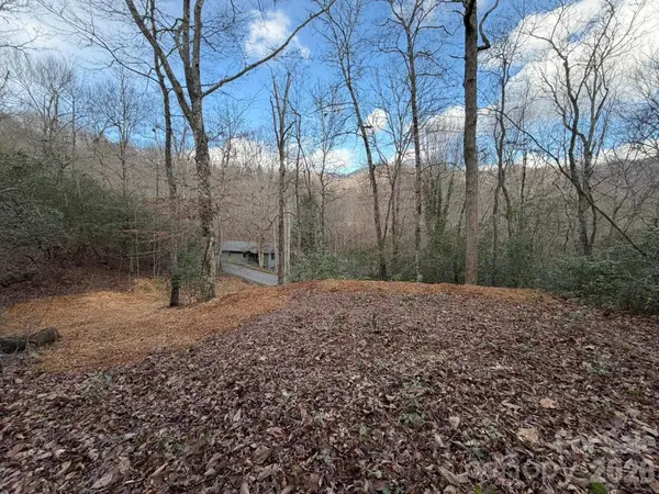 70 Knobby Lane, Franklin, NC 28734