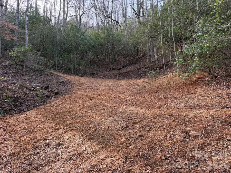 70 Knobby Lane, Franklin, NC 28734 - Image #3